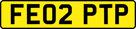 FE02PTP