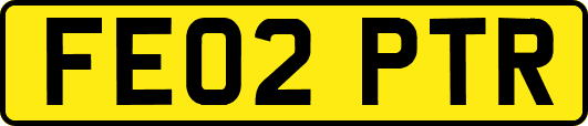 FE02PTR