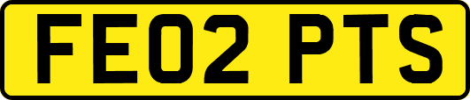 FE02PTS