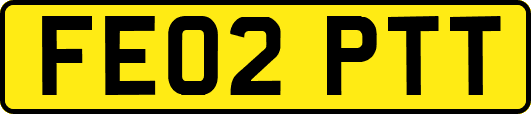 FE02PTT
