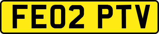 FE02PTV