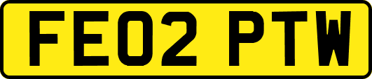 FE02PTW