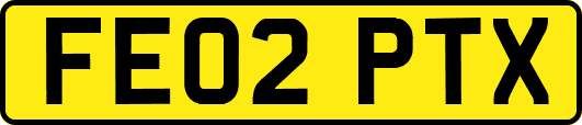 FE02PTX
