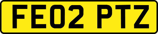 FE02PTZ