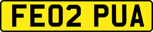 FE02PUA