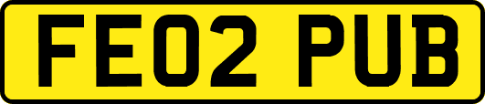 FE02PUB