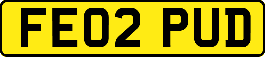 FE02PUD