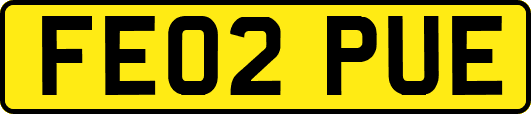FE02PUE