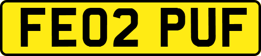 FE02PUF