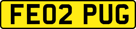 FE02PUG