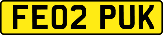 FE02PUK