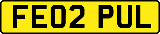 FE02PUL