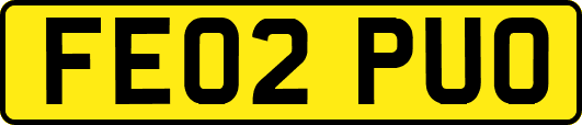 FE02PUO