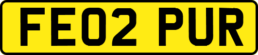 FE02PUR