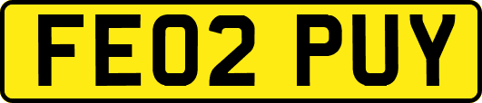 FE02PUY