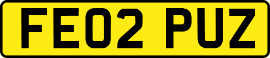 FE02PUZ