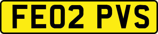 FE02PVS