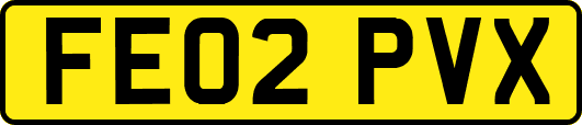 FE02PVX