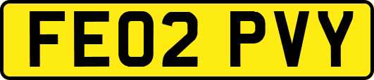 FE02PVY
