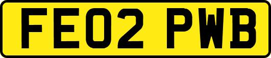 FE02PWB