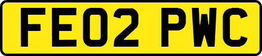 FE02PWC