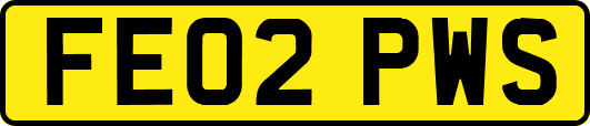FE02PWS