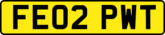 FE02PWT