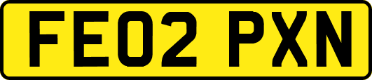 FE02PXN