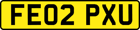FE02PXU