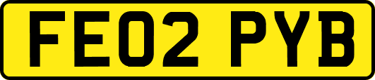 FE02PYB