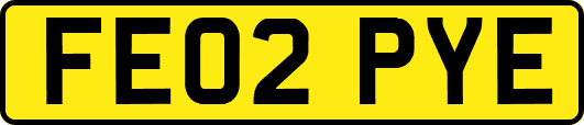 FE02PYE