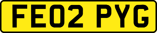 FE02PYG