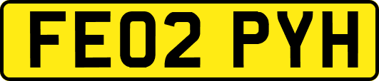 FE02PYH