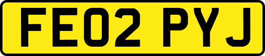 FE02PYJ