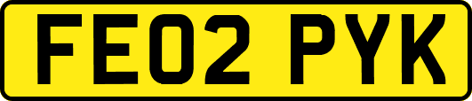 FE02PYK
