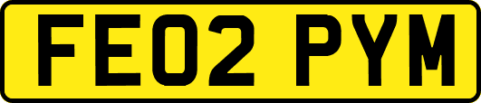 FE02PYM
