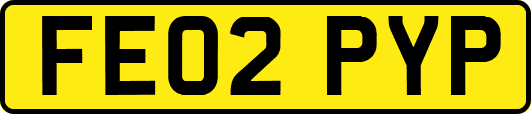 FE02PYP