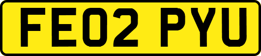 FE02PYU