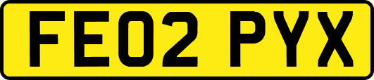 FE02PYX
