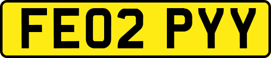FE02PYY