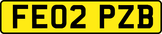 FE02PZB