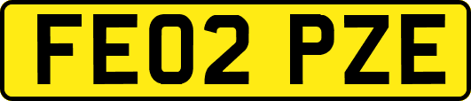 FE02PZE