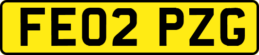 FE02PZG