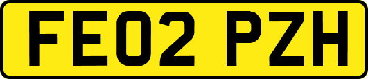 FE02PZH