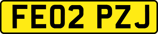 FE02PZJ