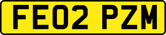 FE02PZM