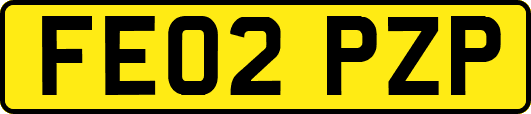 FE02PZP