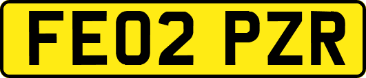 FE02PZR
