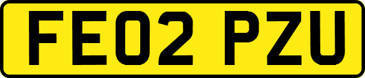 FE02PZU