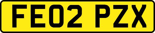 FE02PZX